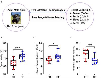 House feeding pattern increased male yak fertility by improving gut microbiota and serum metabolites
